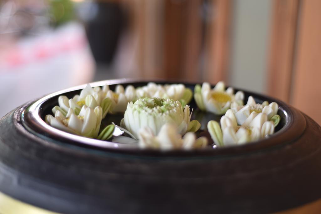 Gloria Angkor Hotel Siem Reap Eksteriør billede